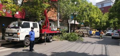 深化党史学习教育 区城管局为民砍树消隐患