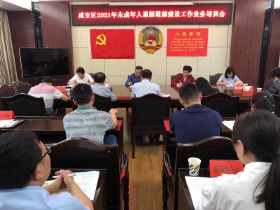 咸安区召开2021年未成年人思想道德建设工作业务培训会