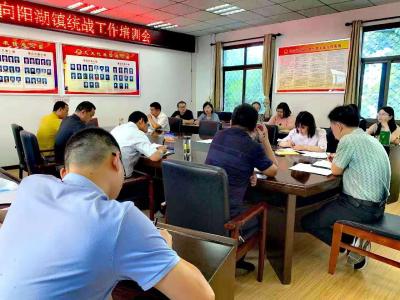 向阳湖镇召开统战工作培训会
