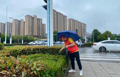 风雨中的那一抹红
