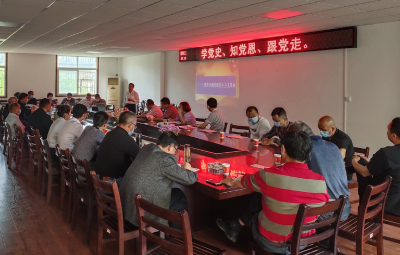 区农业农村局第七党支部开展党史学习教育