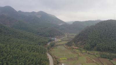 大幕乡：竹产业发展带动和巩固脱贫成果 实现乡村振兴