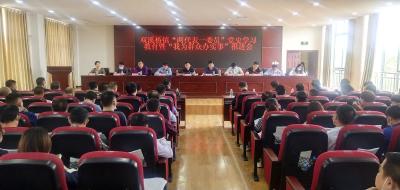 双溪桥镇召开党史学习教育暨“我为群众办实事”工作交流推进会