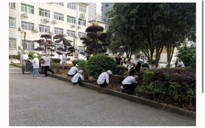民生难事如何解——咸安区温泉街道办事处调研记（二）