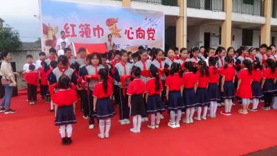 广东畈小学开展“红领巾 心向党”活动