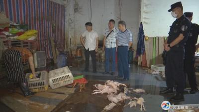 凌晨出击 咸安全力整治农贸市场活禽交易、私屠滥宰行为