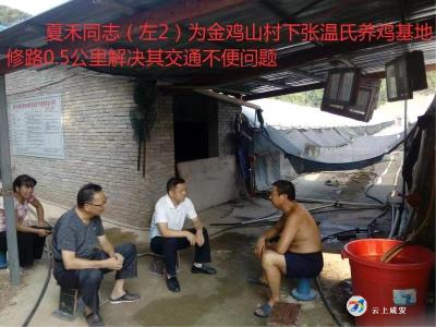 留下来，住进金鸡山人的心中