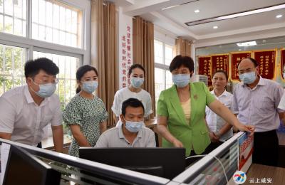 王玲来咸调研县乡人大换届工作