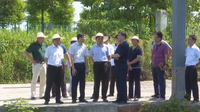 顾兴旺、李军平调研盯办突出环境问题整改工作深入学习贯彻习近平生态文明思想从严从实从细抓好突出环境问题