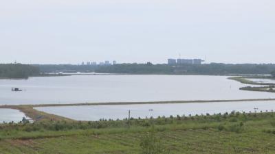 大美乡村入画来 官埠桥镇开展乡村振兴2021年度上半年拉练检查活动