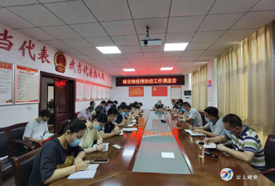 桂花镇：筑牢疫情防控安全网