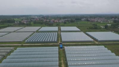 【走乡村 看小康】 双溪桥镇三桥村的“花”样致富路