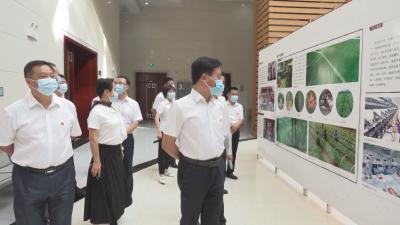 重温百年党史 汲取奋进力量 顾兴旺等区领导集体参观全市党史展览