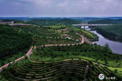 顶烈日，战高温，咸安“四好农村路”项目施工正酣