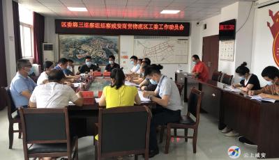 区委第三巡察组进驻咸安商贸物流区开展为期一个月的政治“体检”