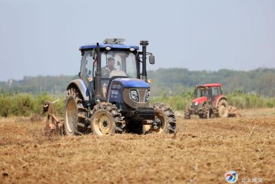 咸安：抢抓农时、适墒播种，秋播油菜育苗忙