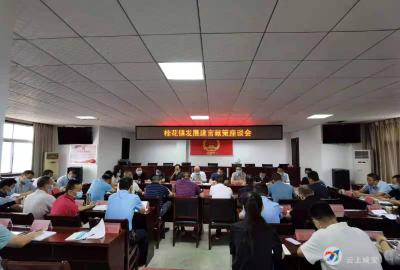 桂花镇：建言献策做好桂花发展大文章