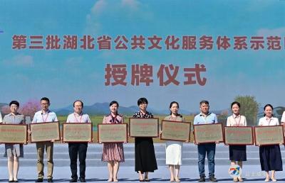 喜讯   咸安区获得第三批湖北省公共文化服务体系示范区荣誉