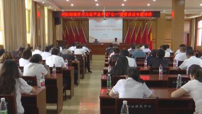 省党史学习教育第九巡回指导组组长谢红星为向阳湖镇党员干部讲解习近平总书记“七一”重要讲话精神