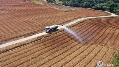 向阳湖：提水抗旱育苗忙 村民种植油菜热情高涨