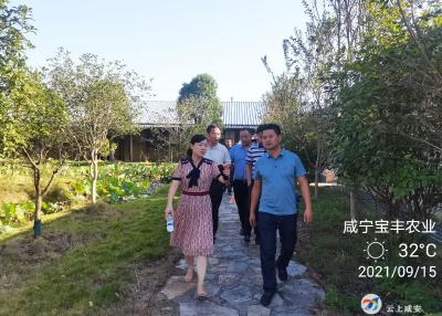 咸安加快推进“淦河十里画廊”项目建设