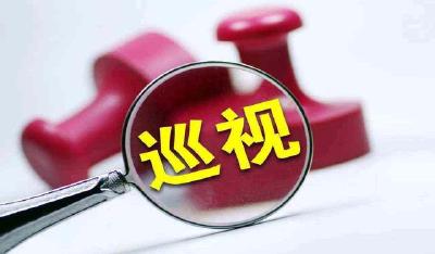 顺口溜 | 说说巡视和巡察