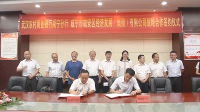 武汉农村商业银行咸宁分行与区经发集团签订战略协议 将提供30亿元授信