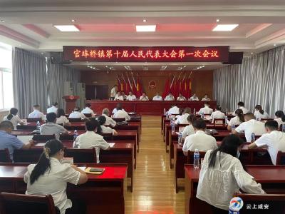 官埠桥镇第十届人民代表大会第一次会议召开
