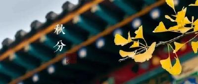 润肺防燥 收敛内养——二十四节气之秋分养生