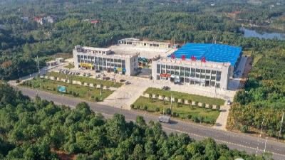 向阳湖镇：打造智慧物流基地