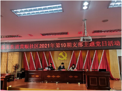 初心永向党，忠诚勇担当——黄畈社区开展第十期支部主题党日活动