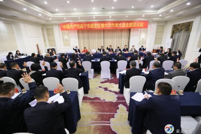 【聚焦党代会】中国共产党咸安区第六次代表大会召开主席团第三次会议