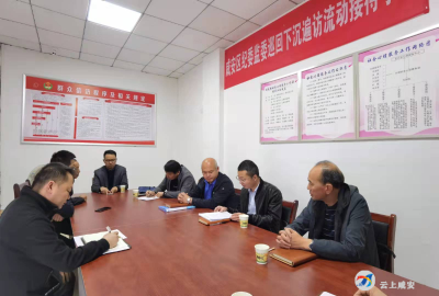 区领导深入桂花镇开展巡回下沉遍访活动