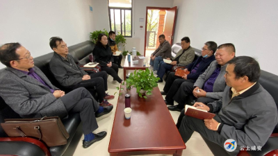 现场办公出实招