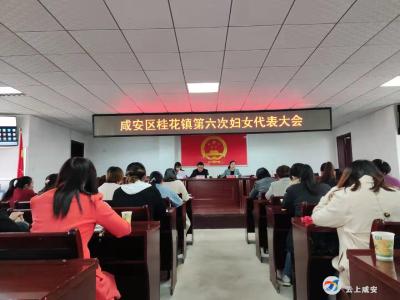 桂花镇召开第六次妇女代表大会