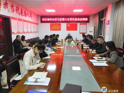 桂花镇传达学习咸安区第六次党代会精神