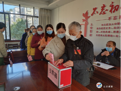 永安街道11个城市社区居民委员会换届选举工作圆满完成