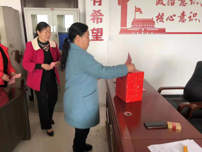 巾帼心向党 奋斗绽芳华——双溪桥镇积极组织村级妇联换届选举