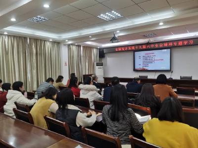 区统计局组织干部职工参加学习贯彻党的十九届六中全会精神专题培训