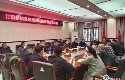 咸安区汀泗桥镇召开消防隐患整治推进会