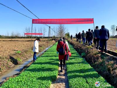 加快秋播生产！这个现场演示会燃爆了...