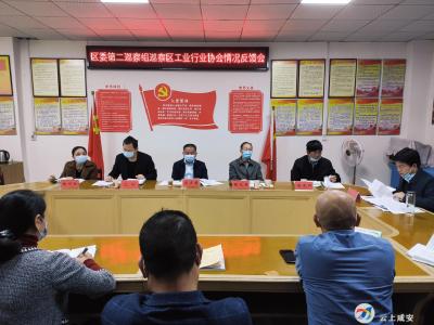 区委第二巡察组向区工业行业协会反馈巡察情况