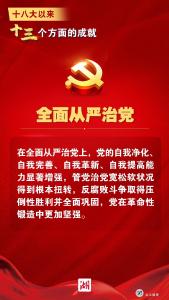 一组海报，看十八大以来十三个方面的伟大成就