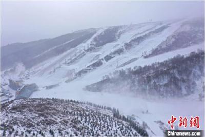 滑雪医生需要具备哪些技能？
