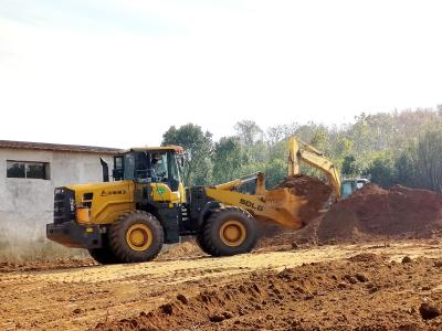 向阳湖镇北岭村扩建农产品加工车间，助力粮食生产