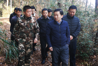 区领导到横沟桥镇开展巡林活动