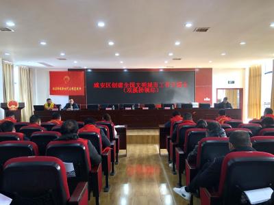 双溪桥镇组织召开创建全国文明城市工作专题培训会