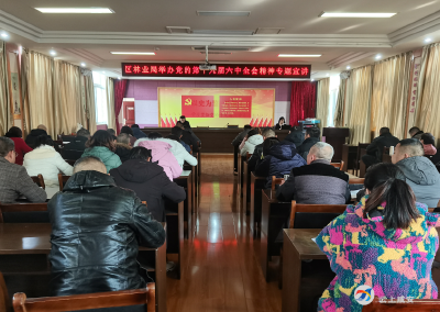 区林业局学习贯彻落实党的十九届六中全会精神