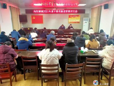 向阳湖镇召开2021年度公务员考核述职测评会议