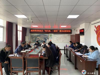 商贸物流区召开“两代表一委员”暨企业家代表座谈会